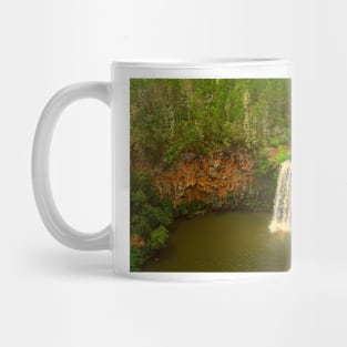 The Beauty Of Dangar Falls Mug